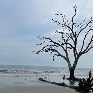 Meet your Posher, Sonja